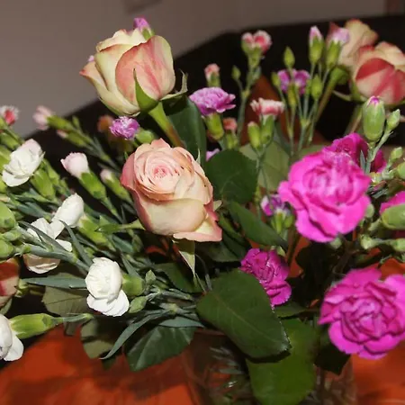 Hoeferauer Hof Lejlighed Kappl (Landeck)