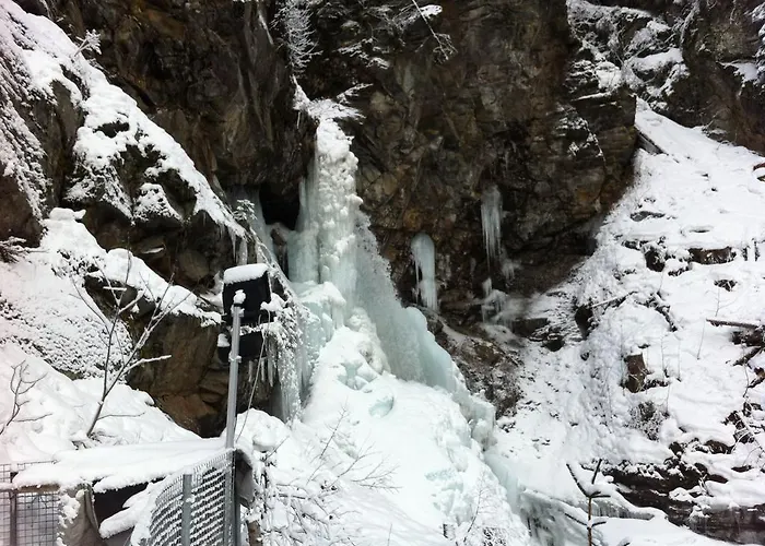 Hoeferauer Hof דירה *