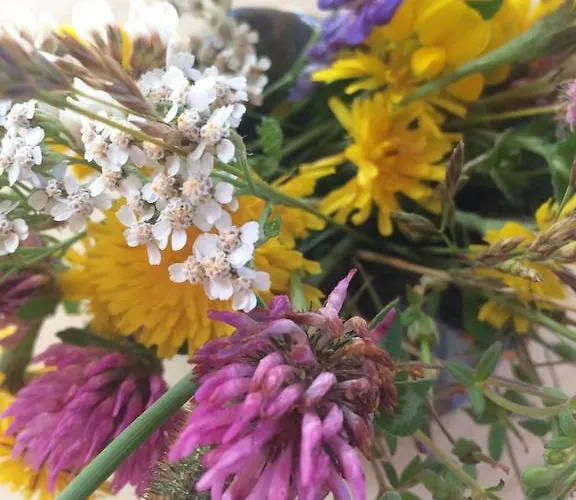 Hoeferauer Hof Lejlighed Kappl (Landeck)