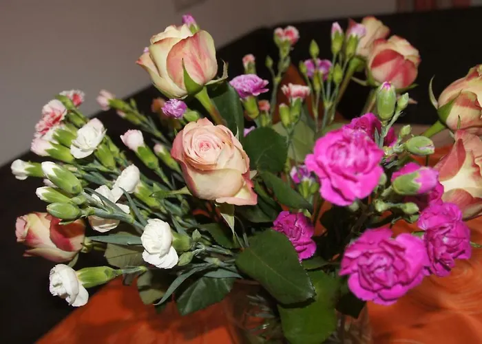 Hoeferauer Hof Lejlighed Kappl (Landeck)